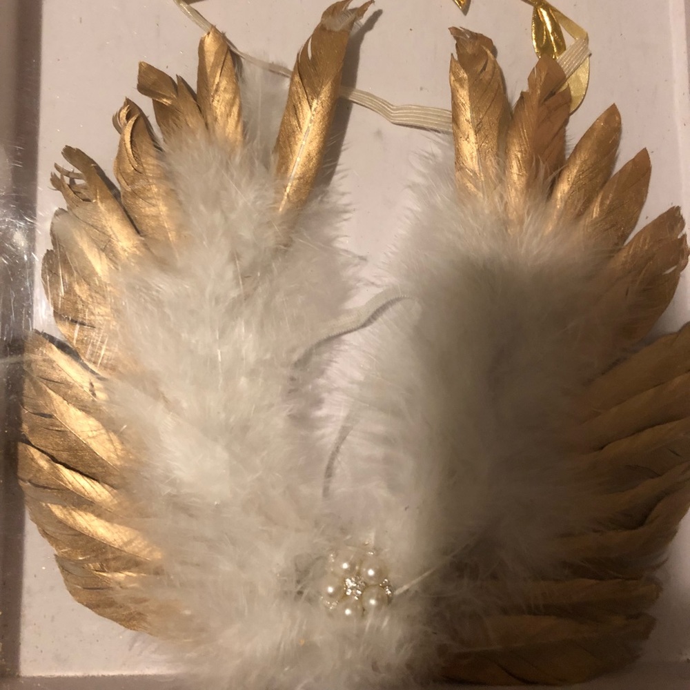 Newborn photo shoot angel wings